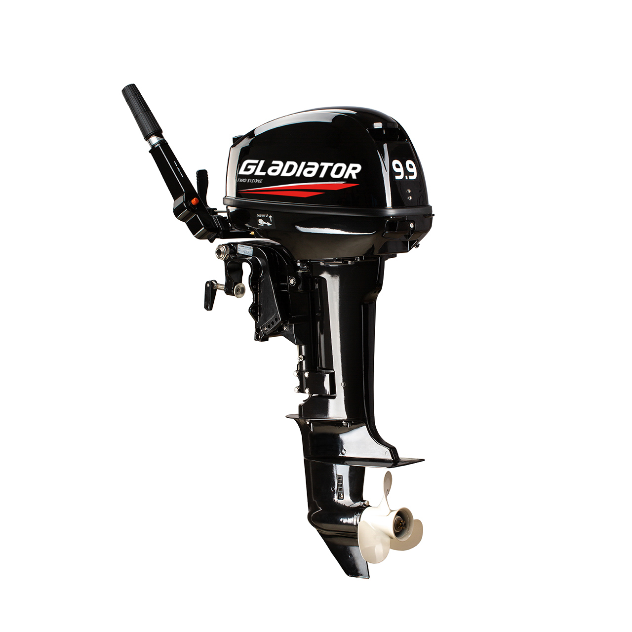 ЛОДОЧНЫЙ МОТОР GLADIATOR G9.9FHS в Таганроге