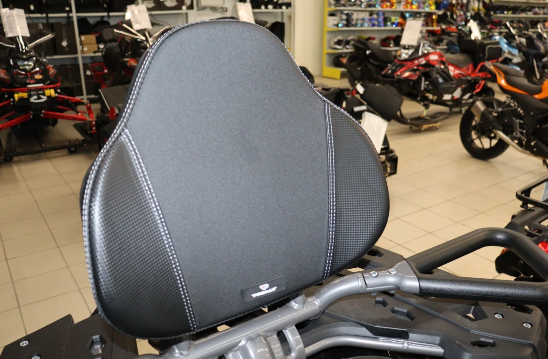 Квадроцикл PROMAX RENEGADE 300 LONG WINCH PRO (2025) в Таганроге