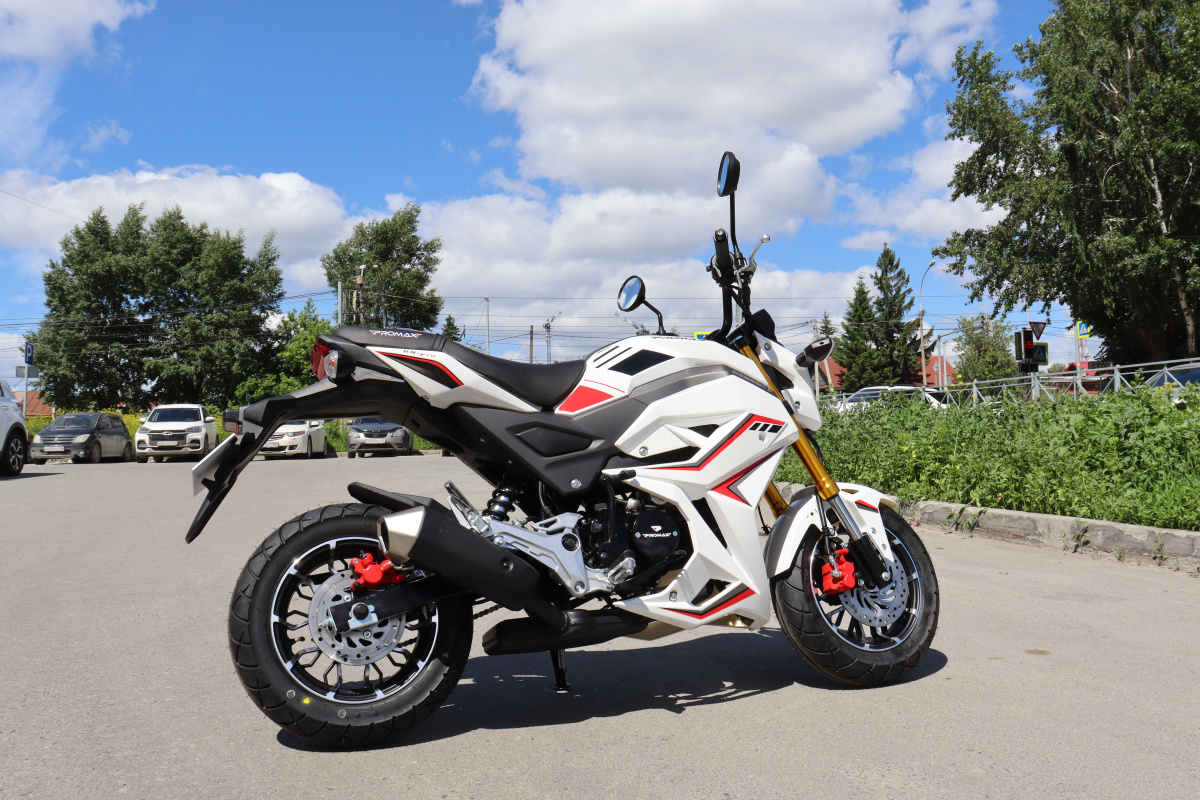 Мотоцикл PROMAX STRYKER 200(49) 2.0 в Таганроге