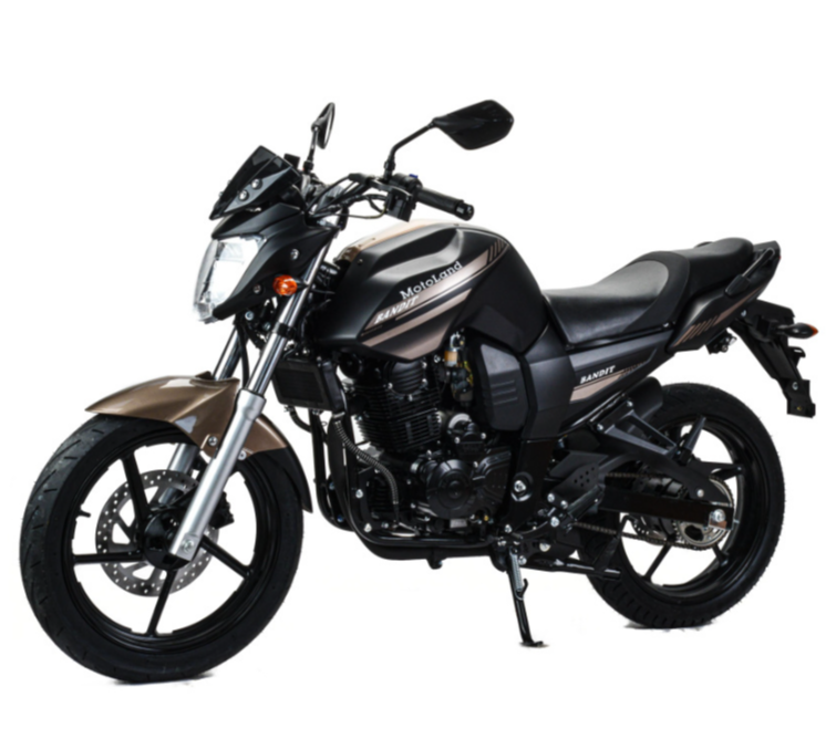 Мотоцикл MOTOLAND (МОТОЛЕНД) 300 BANDIT в Таганроге