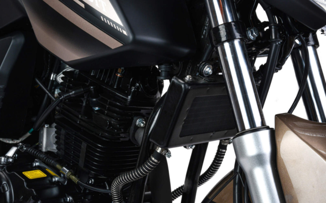 Мотоцикл MOTOLAND (МОТОЛЕНД) 300 BANDIT в Таганроге