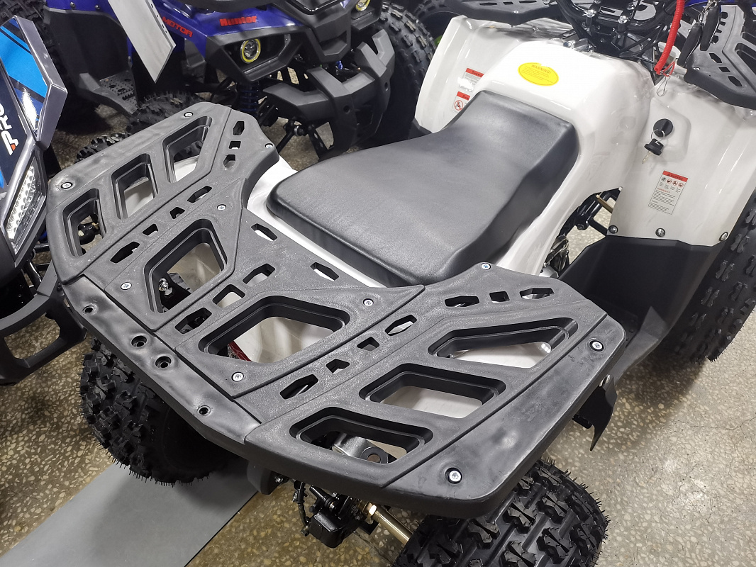 Квадроцикл PROMAX WILD 175 LUX в Таганроге