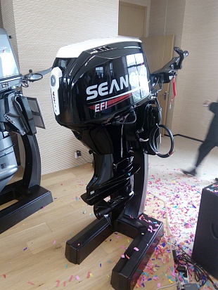 Лодочный мотор SEANOVO SN75FHL-D в Таганроге