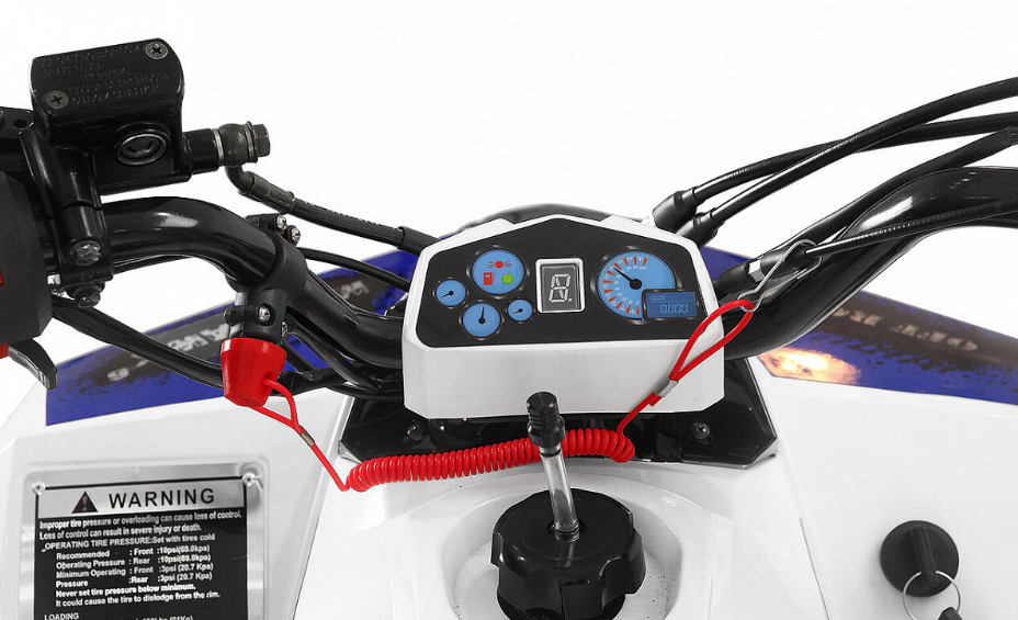 Квадроцикл Yacota Raposa 110 в Таганроге