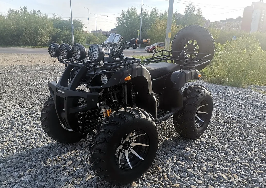Квадроцикл PROMAX LEO 300 Max (кардан) в Таганроге