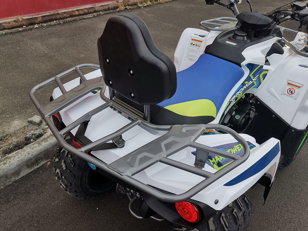 Квадроцикл PROMAX RENEGADE 280 LUX (2025) в Таганроге