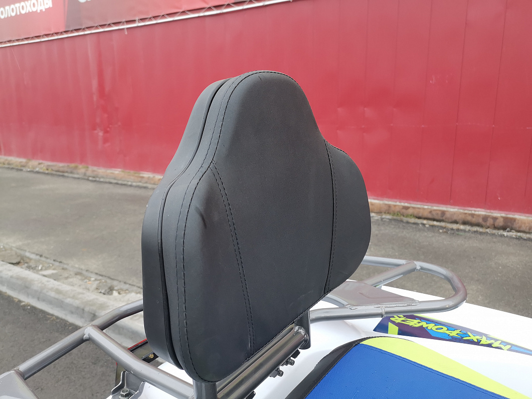 Квадроцикл PROMAX RENEGADE 280 LUX (2025) в Таганроге