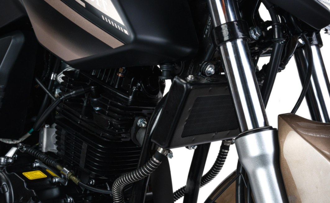 Мотоцикл MOTOLAND (МОТОЛЕНД) 300 BANDIT в Таганроге