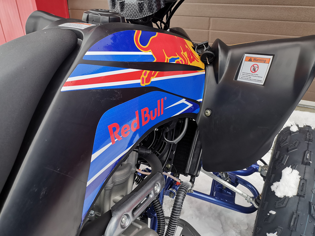Квадроцикл PROMAX RAPTOR 300 NEW RedBull в Таганроге
