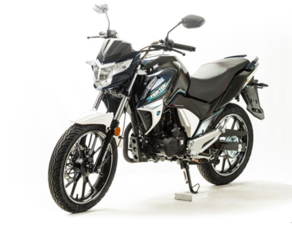 Мотоцикл MOTOLAND (МОТОЛЕНД) FIGHTER 250 в Таганроге