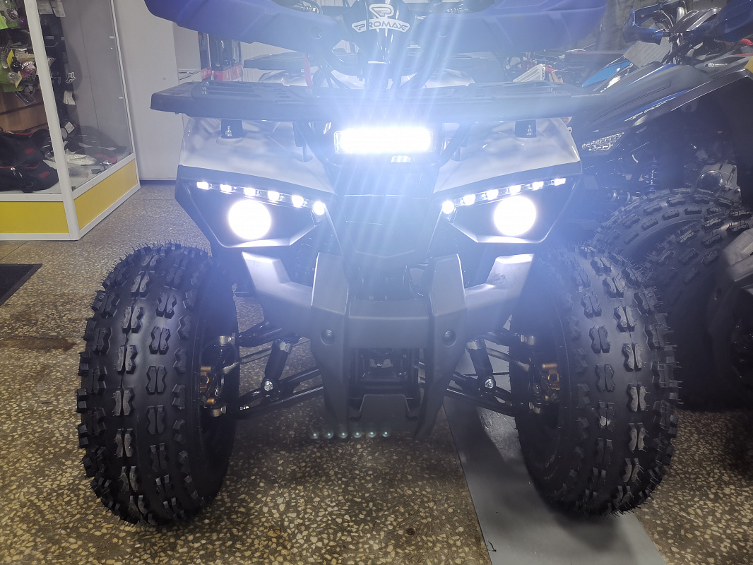Квадроцикл PROMAX WILD 175 LUX в Таганроге