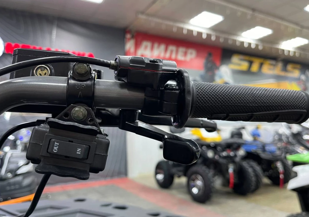 Квадроцикл PROMAX RENEGADE 300 LONG WINCH PRO (2025) в Таганроге