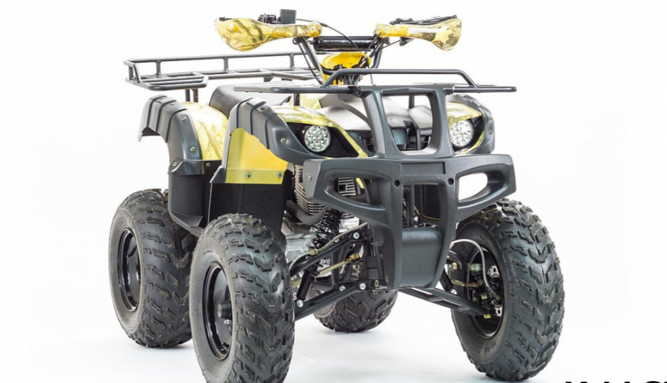 Квадроцикл MOTOLAND (МОТОЛЕНД) 250 ADVENTURE в Таганроге