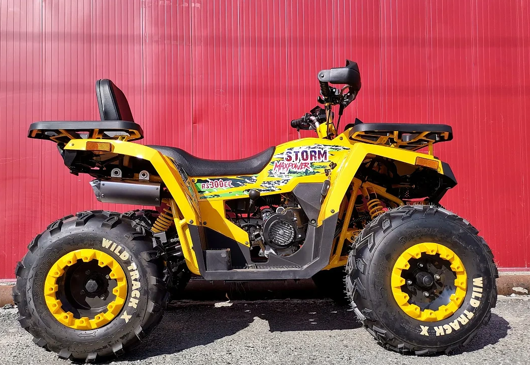 Квадроцикл PROMAX STORM 280 LUX в Таганроге