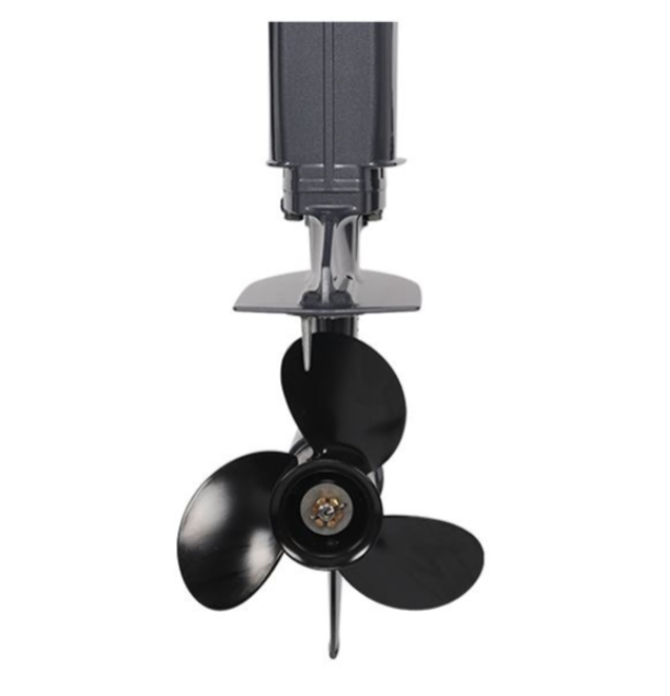 Лодочный мотор ALLFA CG Т40FW S в Таганроге