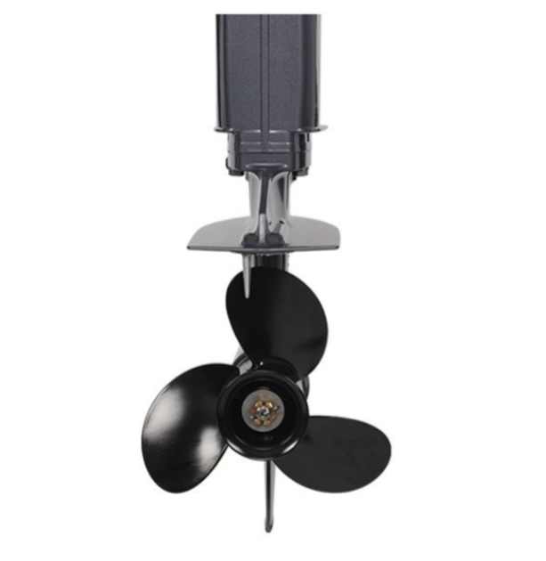 Лодочный мотор ALLFA CG Т40FWT S в Таганроге