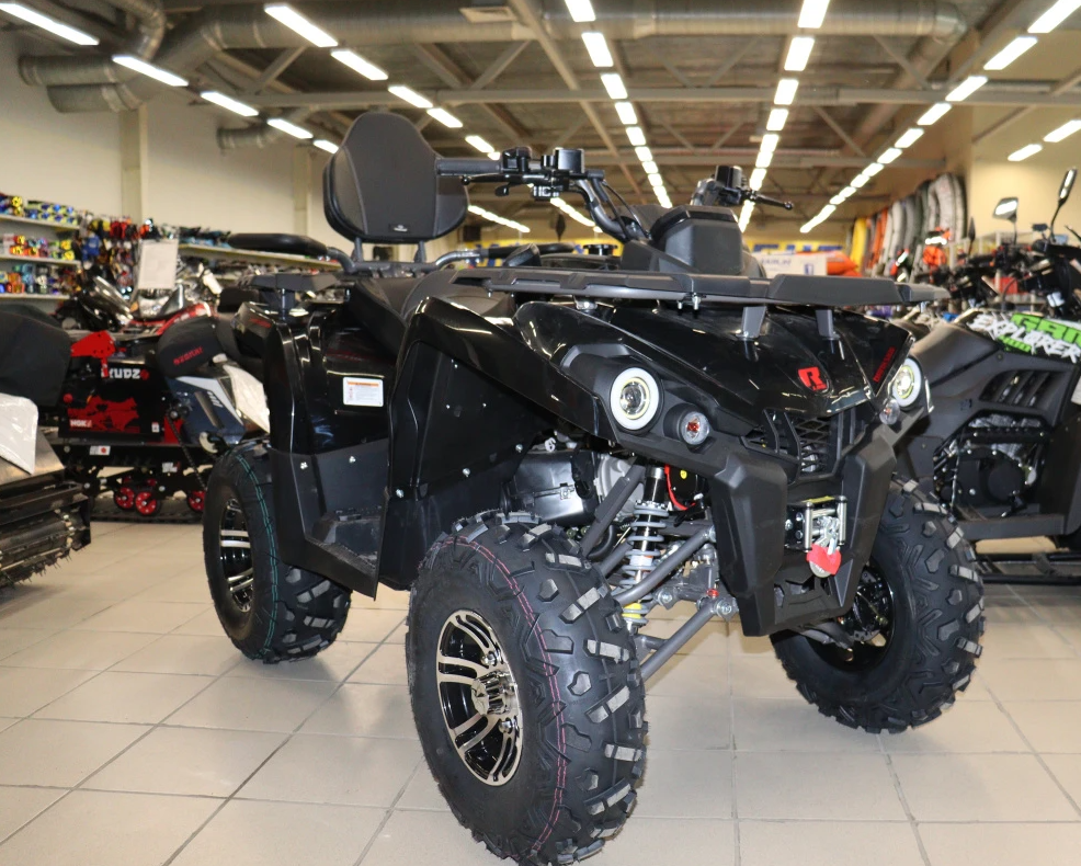 Квадроцикл PROMAX RENEGADE 300 LONG WINCH PRO (2025) в Таганроге