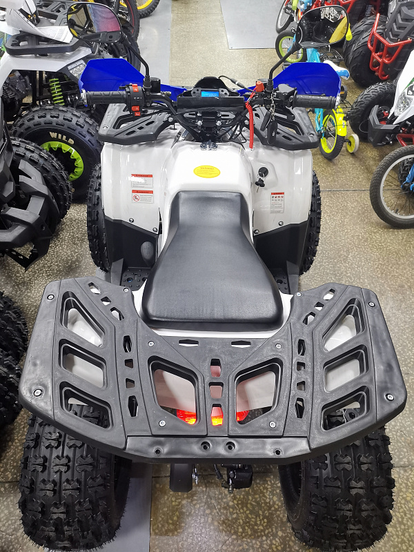 Квадроцикл PROMAX WILD 175 LUX в Таганроге