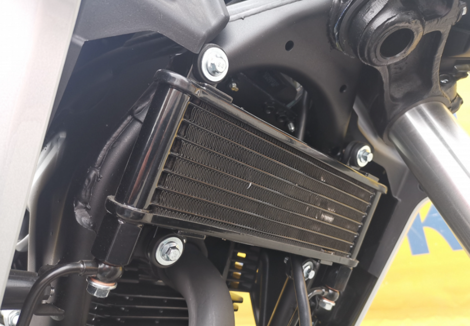 Мотоцикл MOTOLAND (МОТОЛЕНД) 250 CB250 (172FMM-5/PR250) (2022 г.) в Таганроге