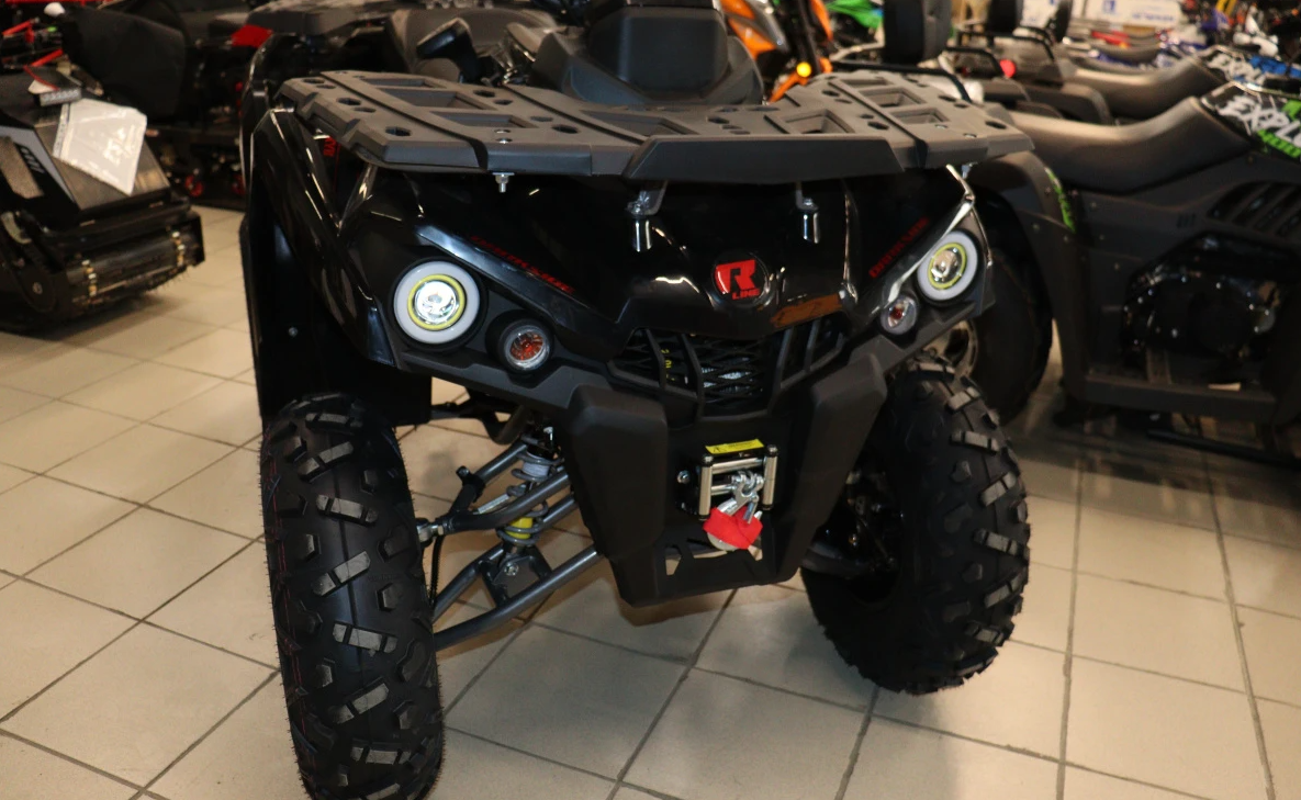 Квадроцикл PROMAX RENEGADE 300 LONG WINCH PRO (2025) в Таганроге