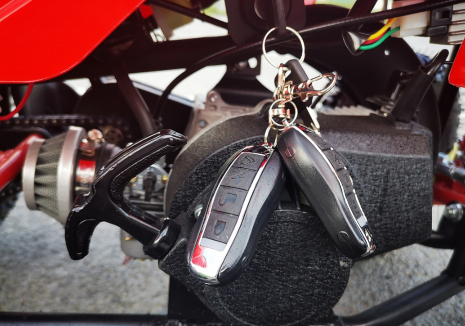 Квадроцикл PROMAX ATV MINI 2T 70CC р/с в Таганроге