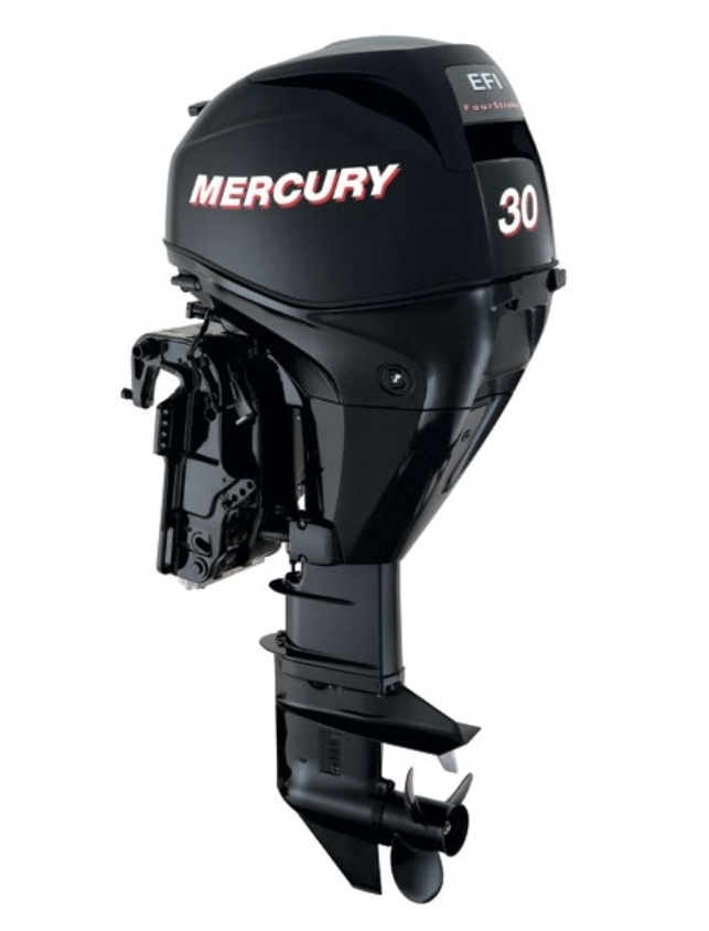 ЛОДОЧНЫЙ МОТОР MERCURY  F 30 ELH GA EFI в Таганроге