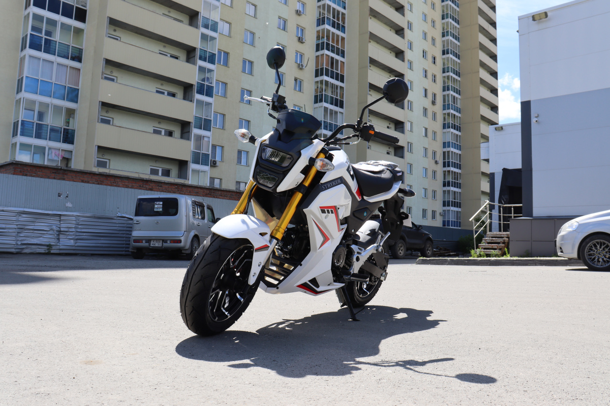 Мотоцикл PROMAX STRYKER 200(49) 2.0 в Таганроге