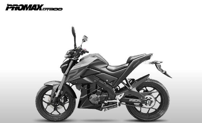 Мотоцикл PROMAX MT300 в Таганроге