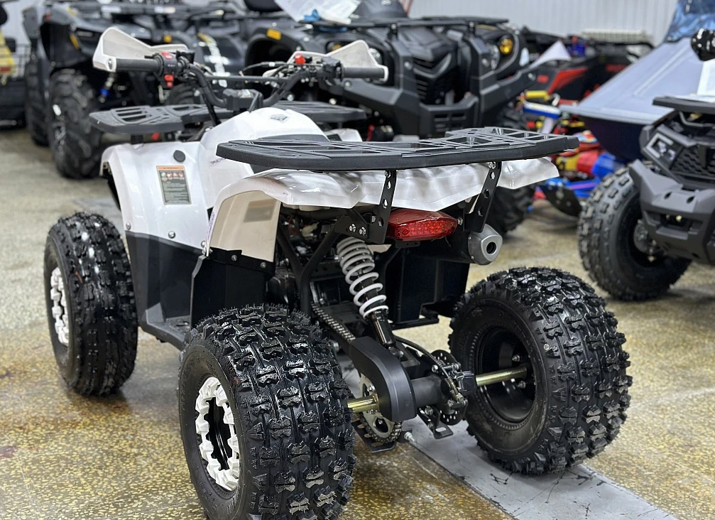 Квадроцикл PROMAX WILD 2.0 190 в Таганроге