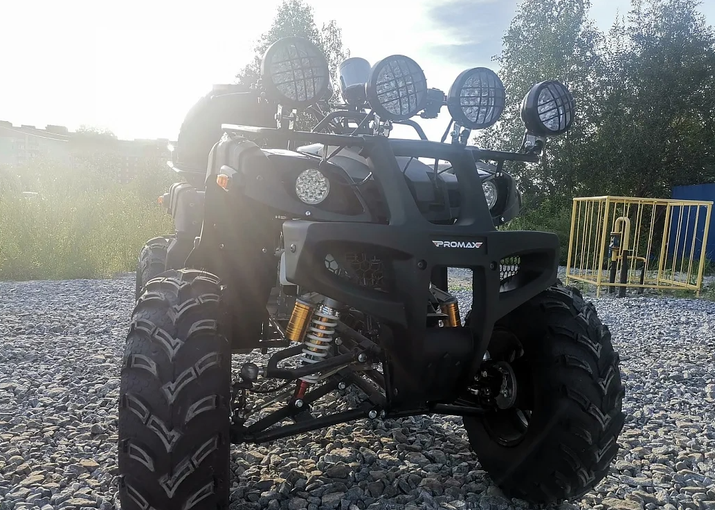 Квадроцикл PROMAX LEO 300 Max (кардан) в Таганроге
