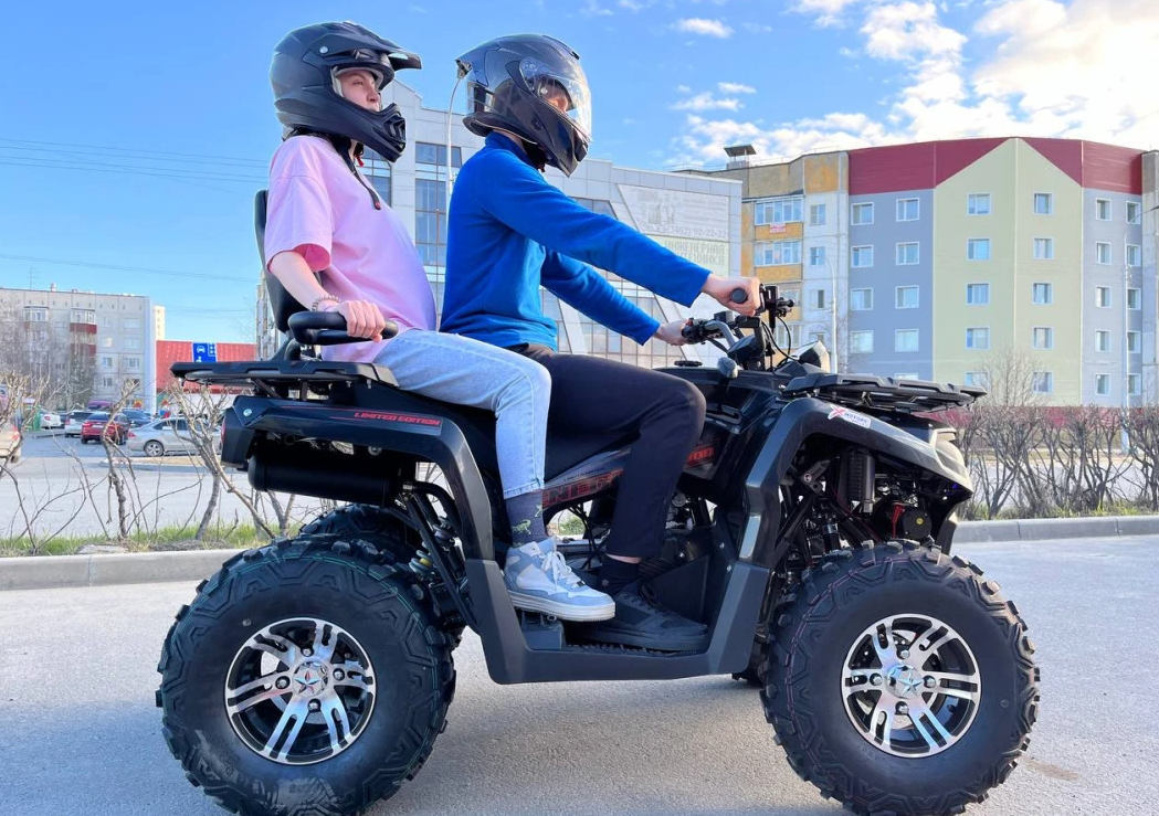 Квадроцикл PROMAX RENEGADE 300 LONG WINCH PRO (2025) в Таганроге