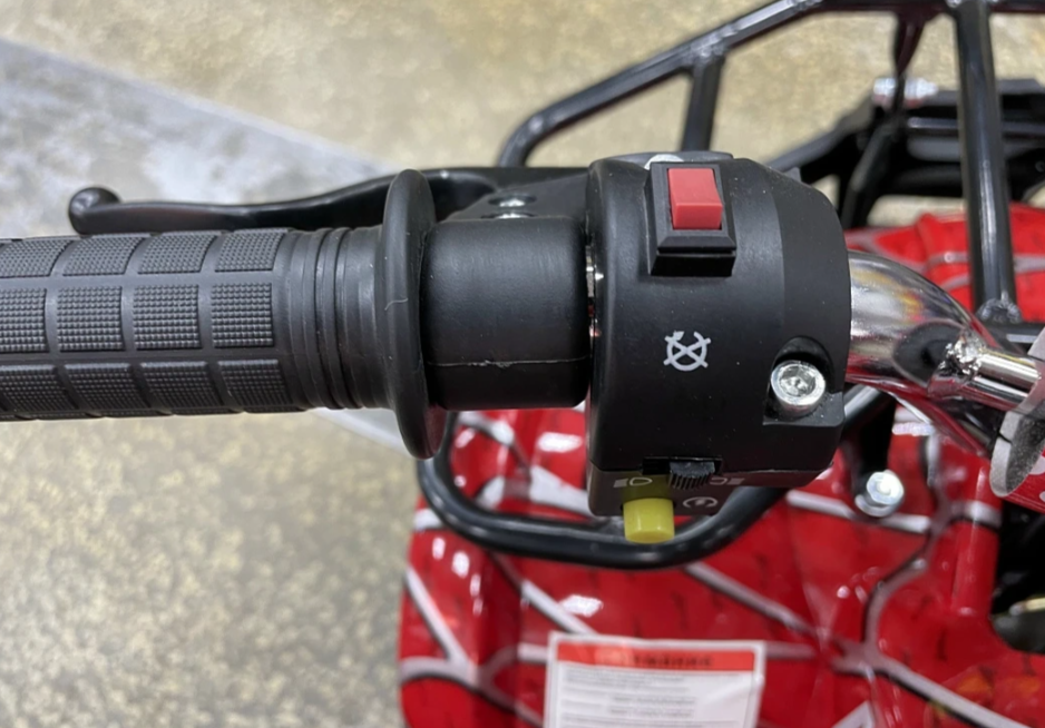 Квадроцикл PROMAX ATV MINI 2T 70CC р/с в Таганроге