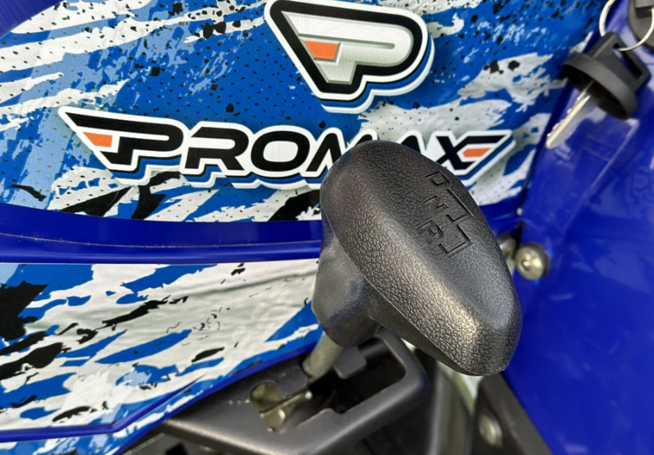  Квадроцикл PROMAX ATV 250 MAX (2025) в Таганроге