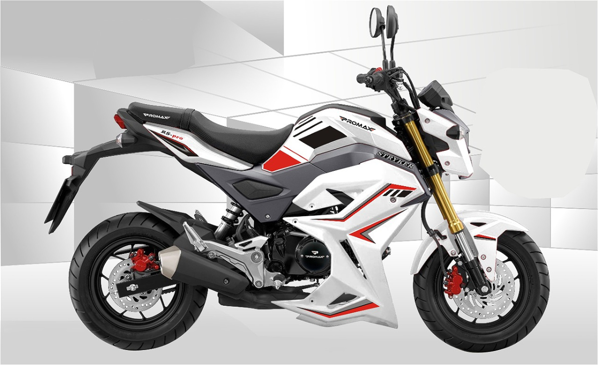 Мотоцикл PROMAX STRYKER 200(49) 2.0 в Таганроге