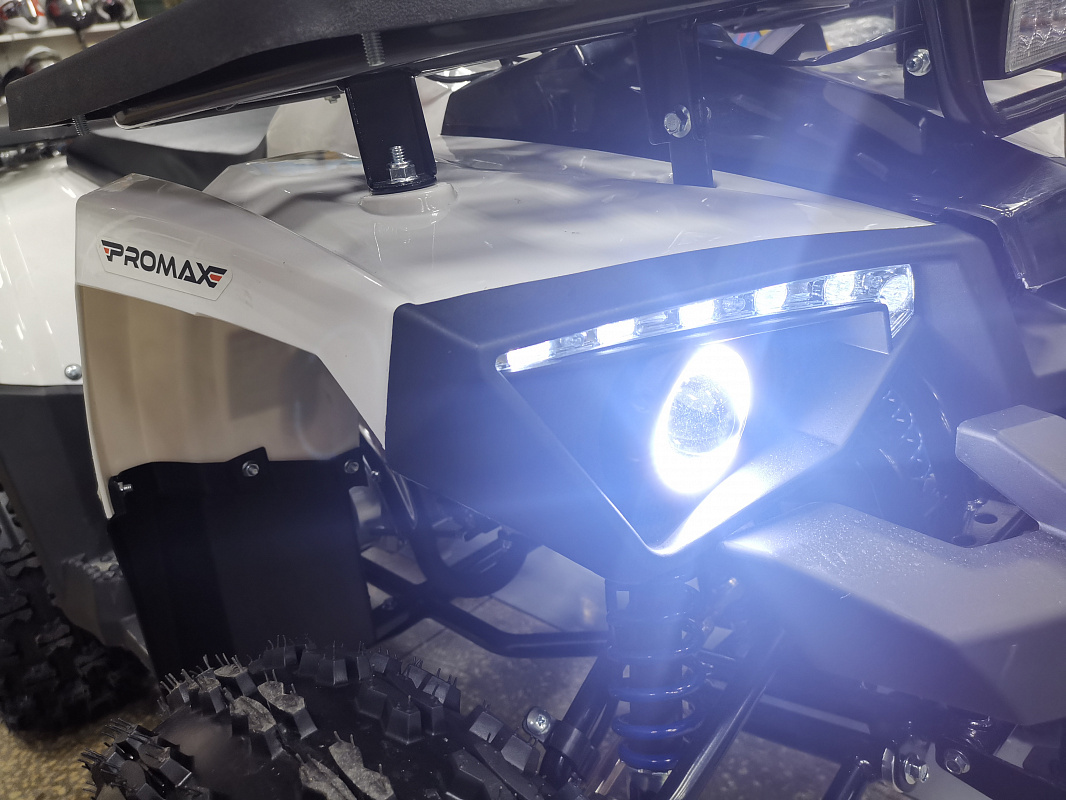 Квадроцикл PROMAX WILD 175 LUX в Таганроге