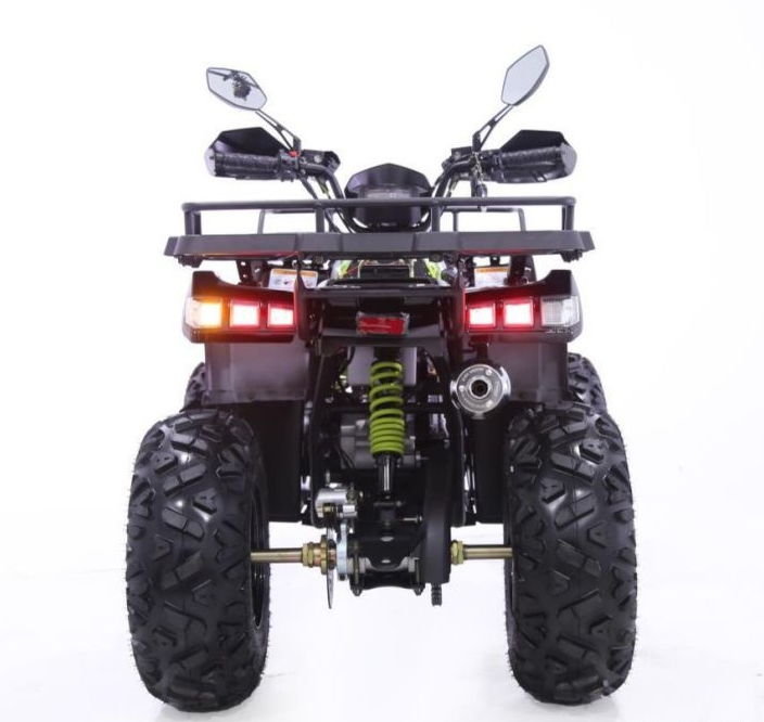 Квадроцикл YACOTA WARRIOR 200 PRO в Таганроге