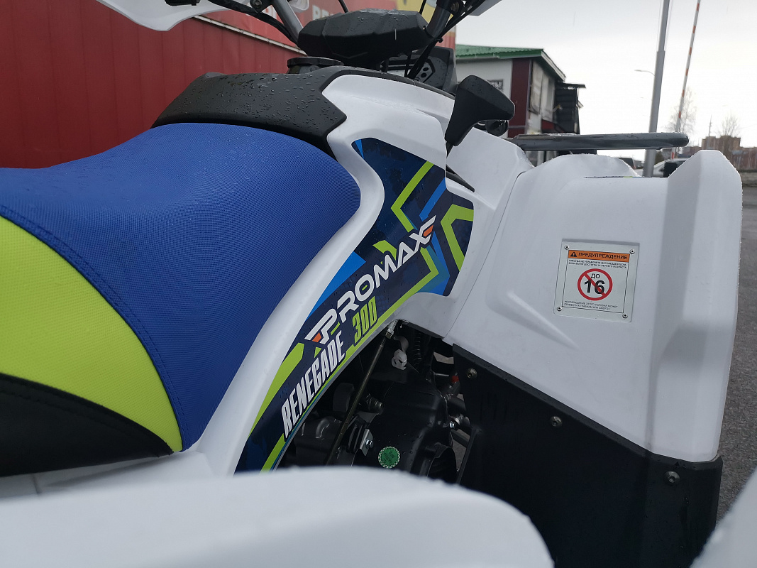 Квадроцикл PROMAX RENEGADE 280 LUX (2025) в Таганроге