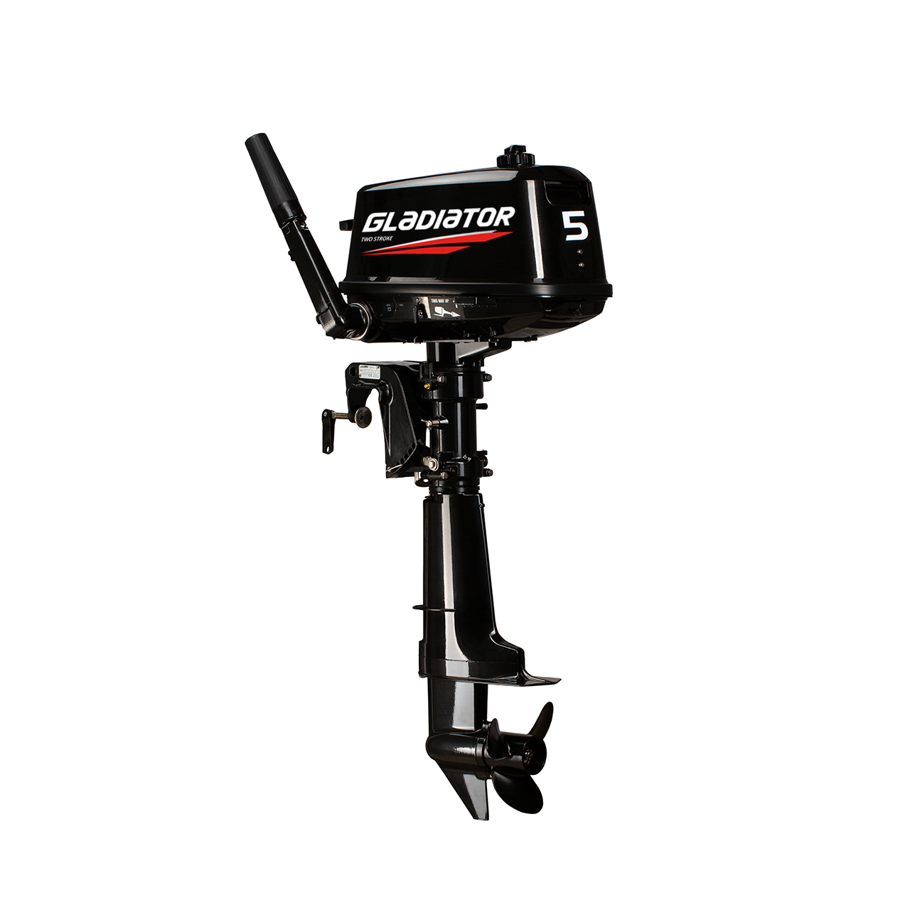 ЛОДОЧНЫЙ МОТОР GLADIATOR G5FHS в Таганроге