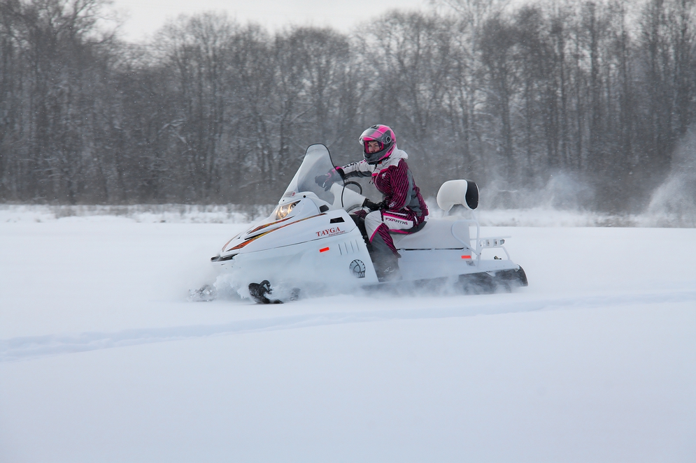 Снегоход Русская механика РМ TAYGA PATRUL 551 SWT в Таганроге