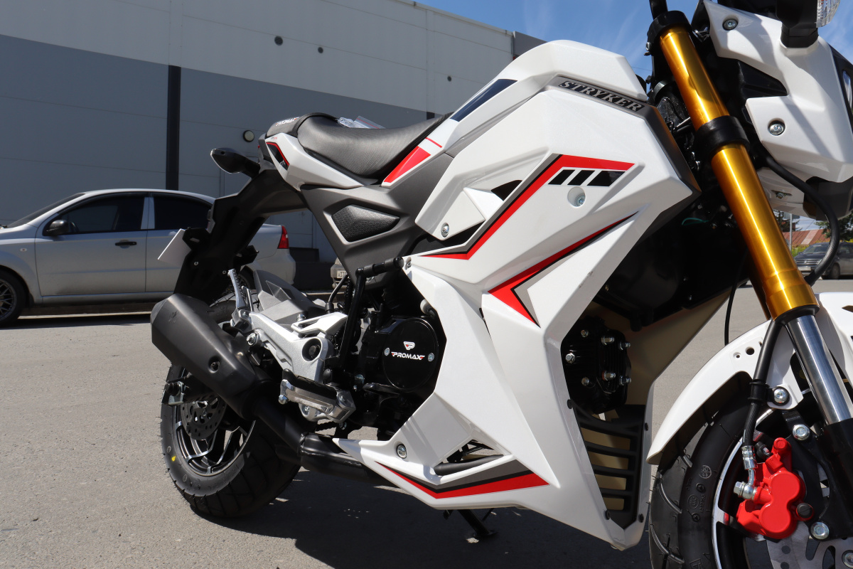 Мотоцикл PROMAX STRYKER 200(49) 2.0 в Таганроге