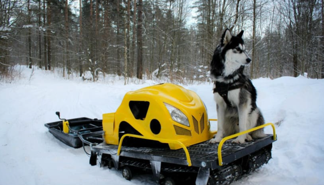 Мотобуксировщик LEBEDEV MOTORS ВОЛКОДАВ POWER V13 в Таганроге