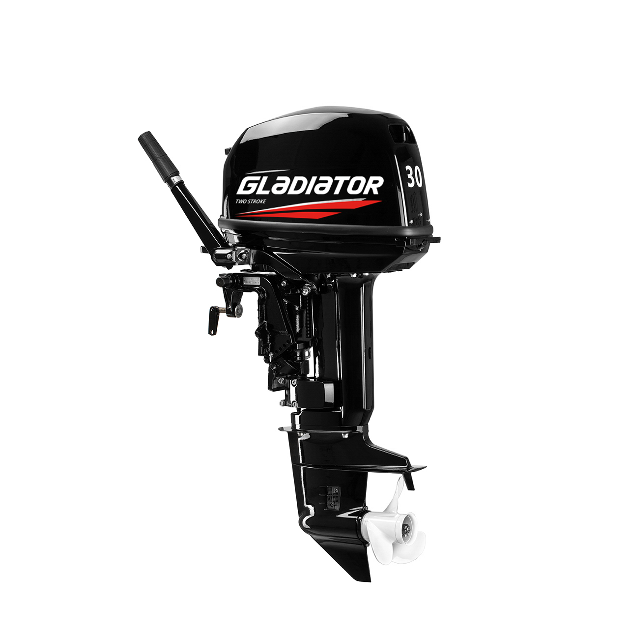 ЛОДОЧНЫЙ МОТОР GLADIATOR G30FHS в Таганроге