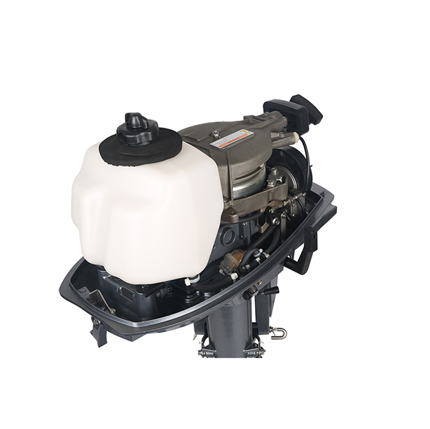 ЛОДОЧНЫЙ МОТОР ALLFA CG T5 в Таганроге