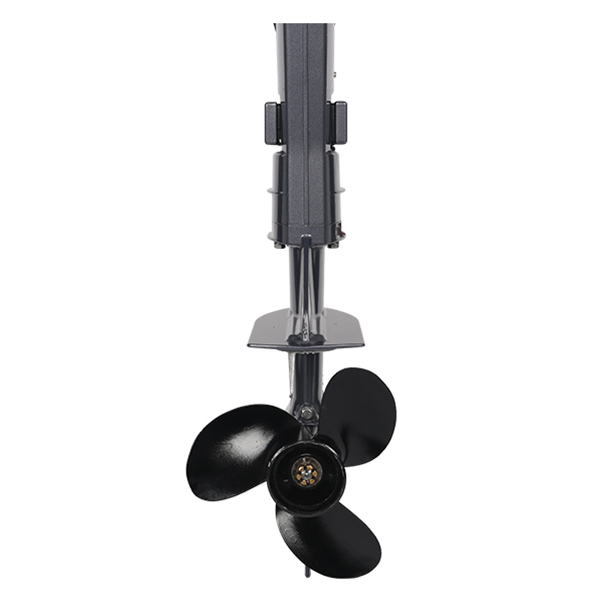 ЛОДОЧНЫЙ МОТОР ALLFA CG T5 в Таганроге