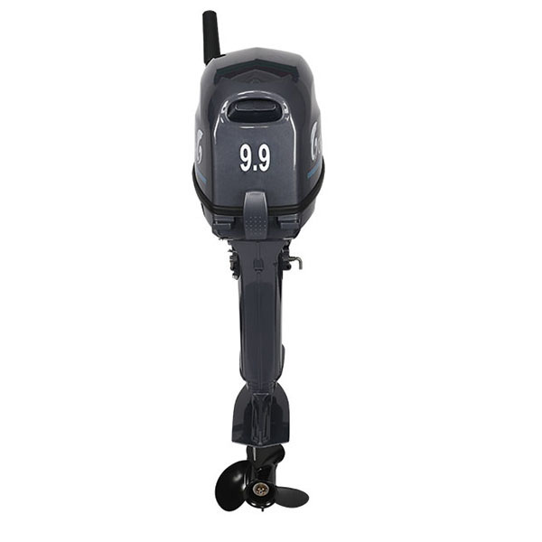 Лодочный мотор ALLFA CG Т9.9(20)MAX в Таганроге