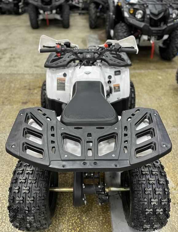 Квадроцикл PROMAX WILD 2.0 190 в Таганроге