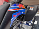 Квадроцикл PROMAX RAPTOR 300 NEW RedBull в Таганроге