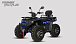 Квадроцикл PROMAX TAURUS 300 MAX-PRO LONG в Таганроге