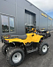 КВАДРОЦИКЛ IRBIS ATV 250  в Таганроге