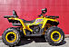 Квадроцикл PROMAX STORM 280 LUX в Таганроге